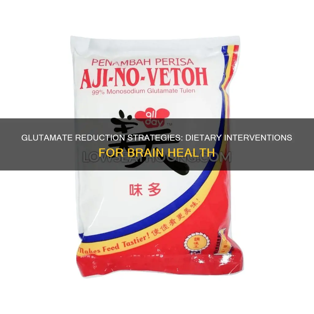how to reduce excess glutamate by diet