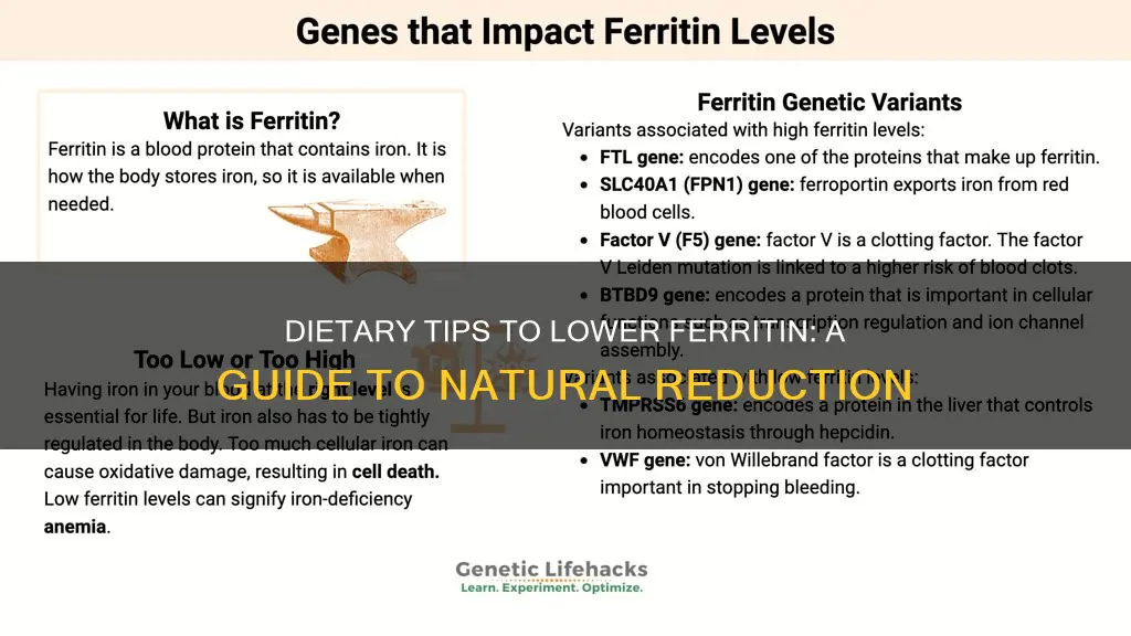 how to reduce ferritin levels by diet