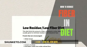 Tame the Fiber Beast: Tips for a Less fibrous Diet