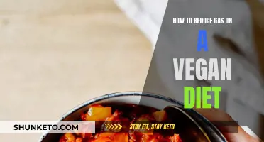 Vegan Diet Gas: Tips for a Bloat-Free Stomach