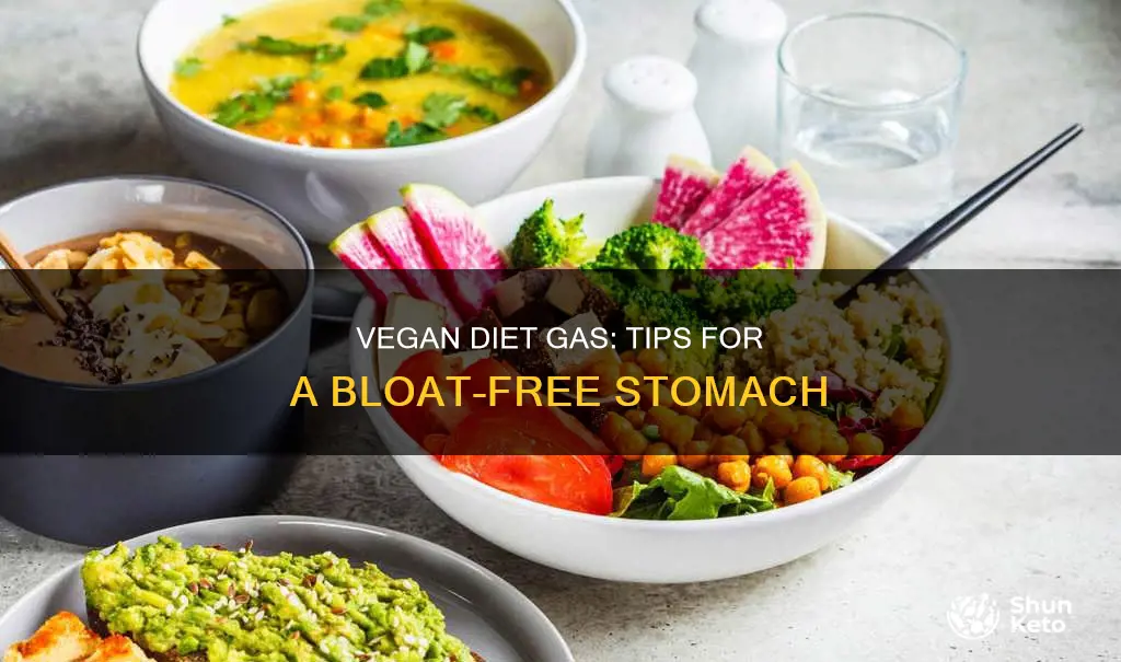 how to reduce gas on a vegan diet