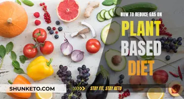 Plant-Based Diet: Reducing Gas and Bloating