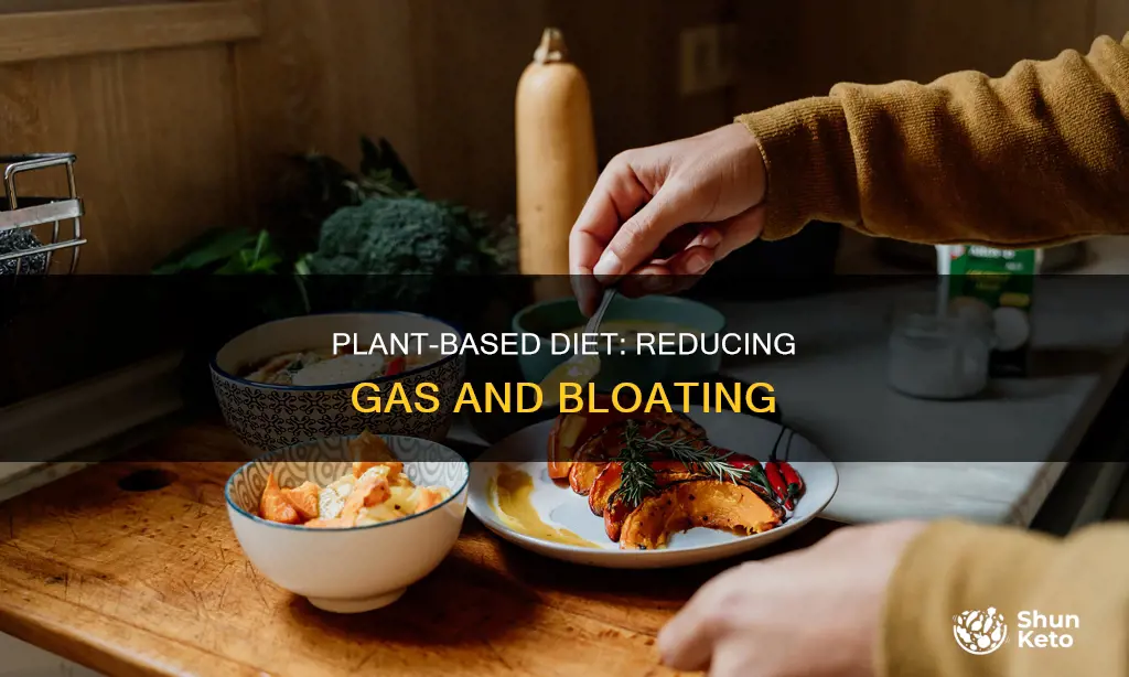 how to reduce gas on plant based diet