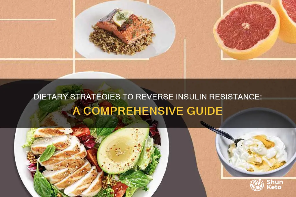 how to reduce insulin resistance with diet