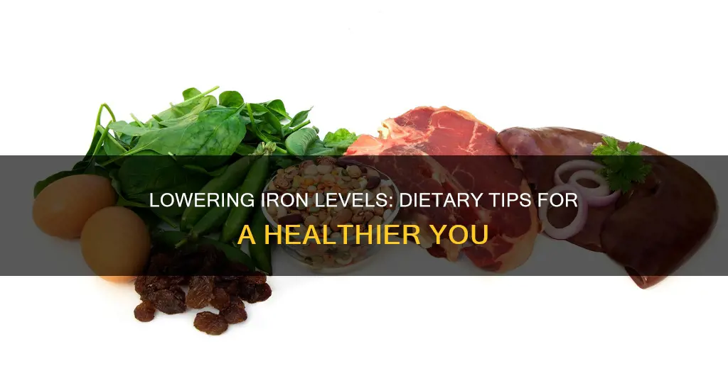 how to reduce iron levels in blood through diet