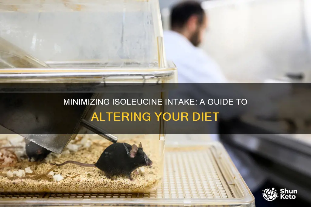how to reduce isoleucine in diet