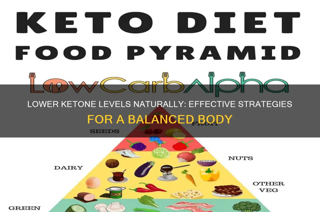 how to reduce ketones in body