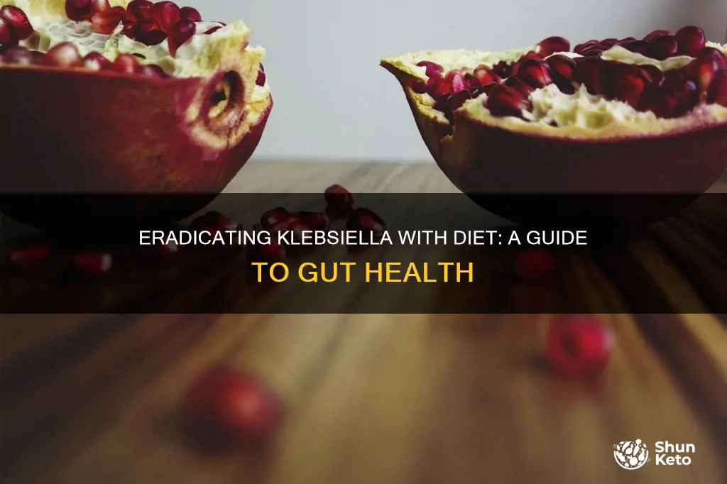 how to reduce klebsiella in gut using diet