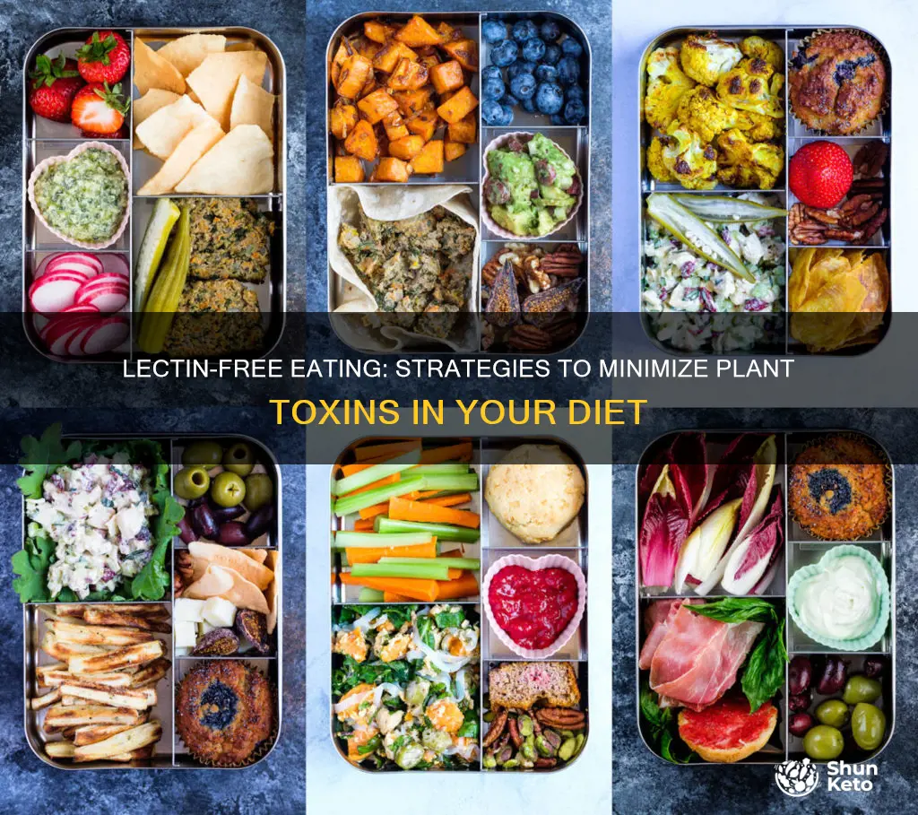 how to reduce lectin in your diet