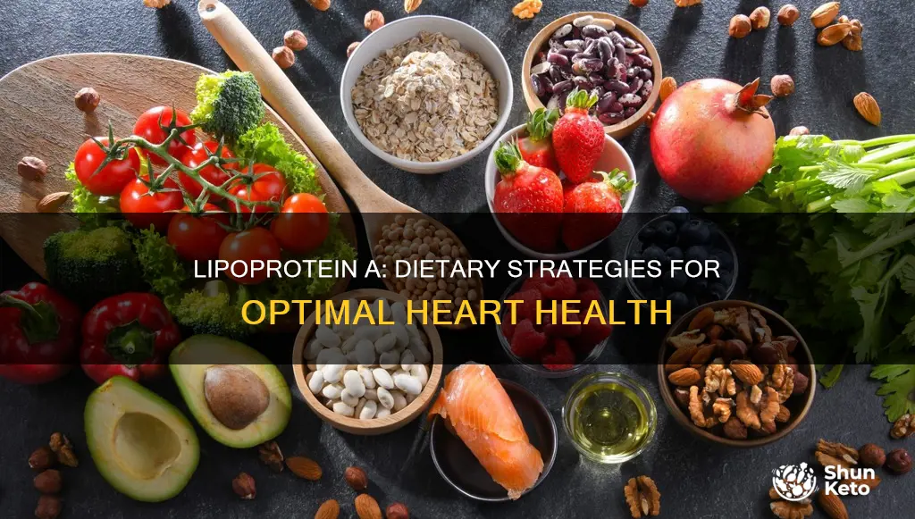 how to reduce lipoprotein a diet