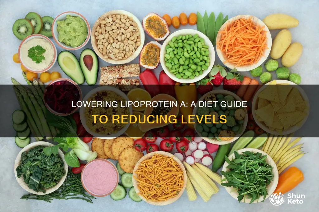 how to reduce lipoprotein a diet