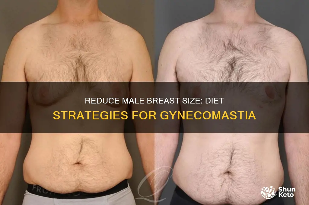 how to reduce male breast by diet