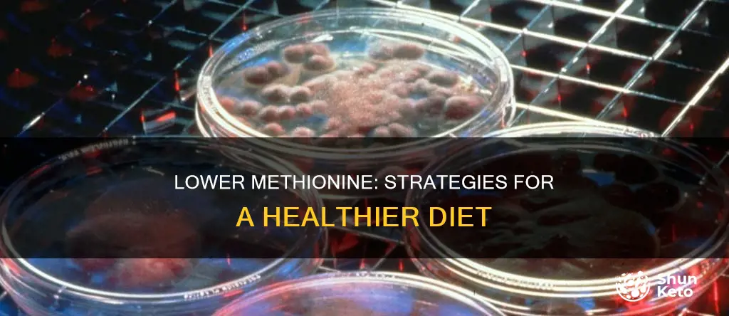 how to reduce methionine in diet