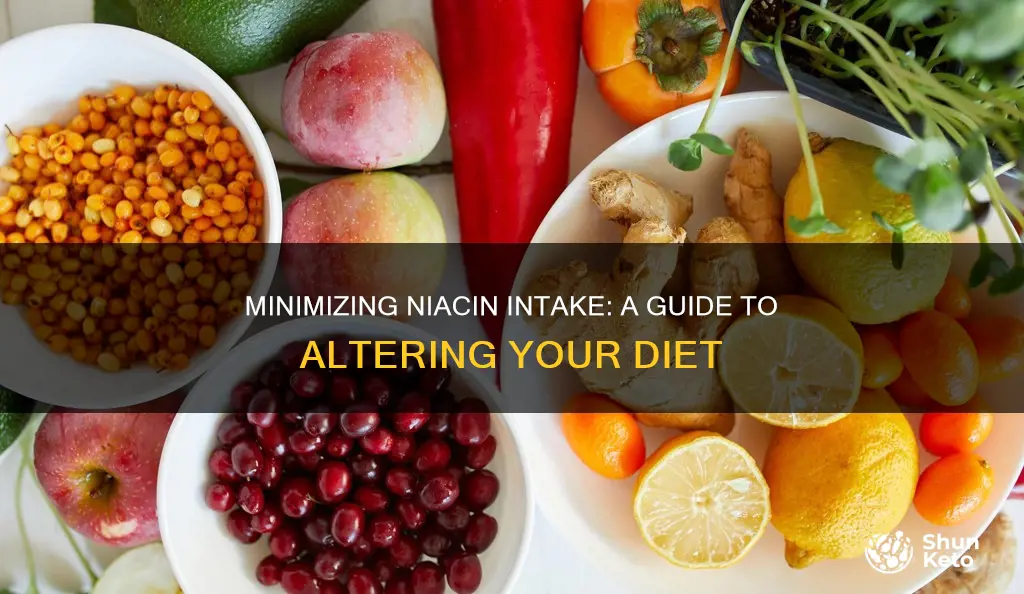 how to reduce niacin in diet