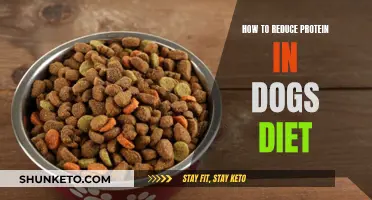 Reduce Protein in Your Dog's Diet: Tips and Tricks