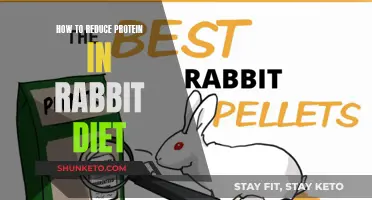 Reduce Protein in Your Rabbit's Diet: A Healthy Guide