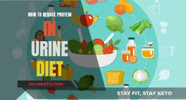 Lower Protein in Urine: Diet Tips for Reducing Levels