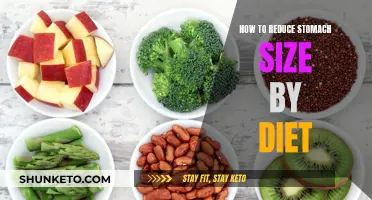 Shrink Your Stomach: Dietary Tips for a Slimmer Tummy