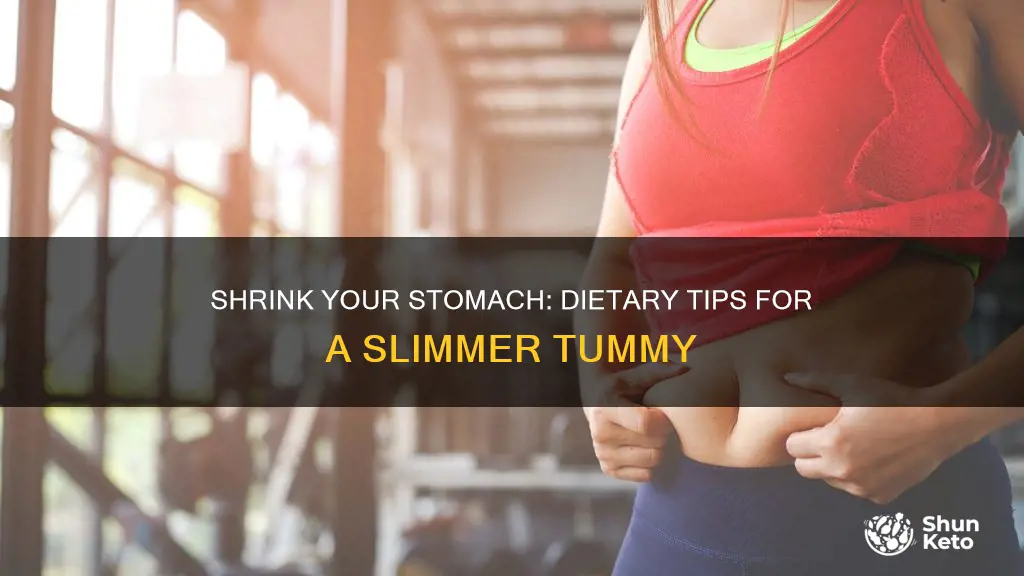 how to reduce stomach size by diet