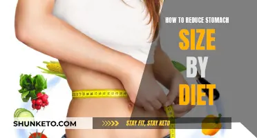 Stomach Slimming Diet Strategies for Effective Results