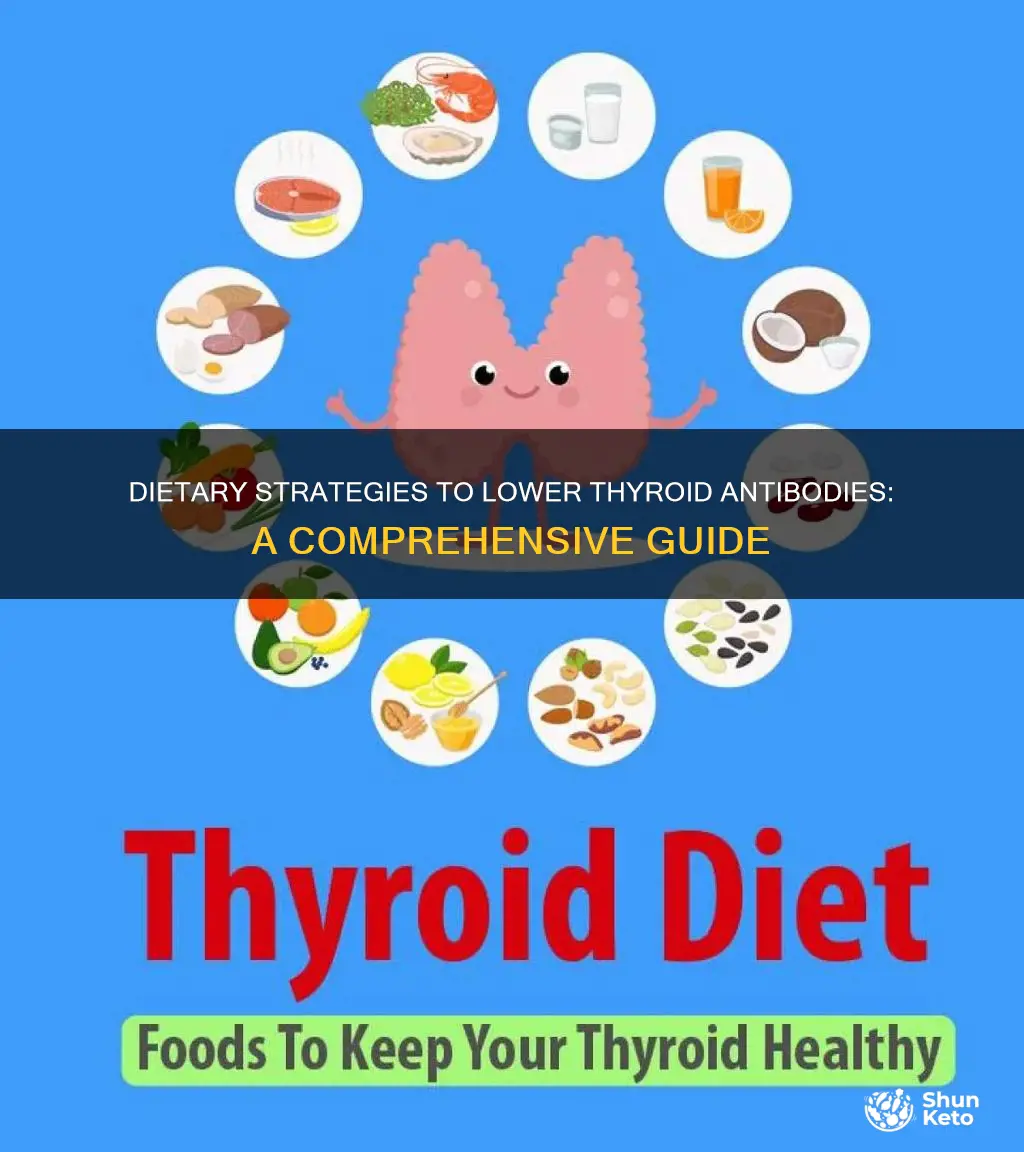 how to reduce thyroid antibodies with diet