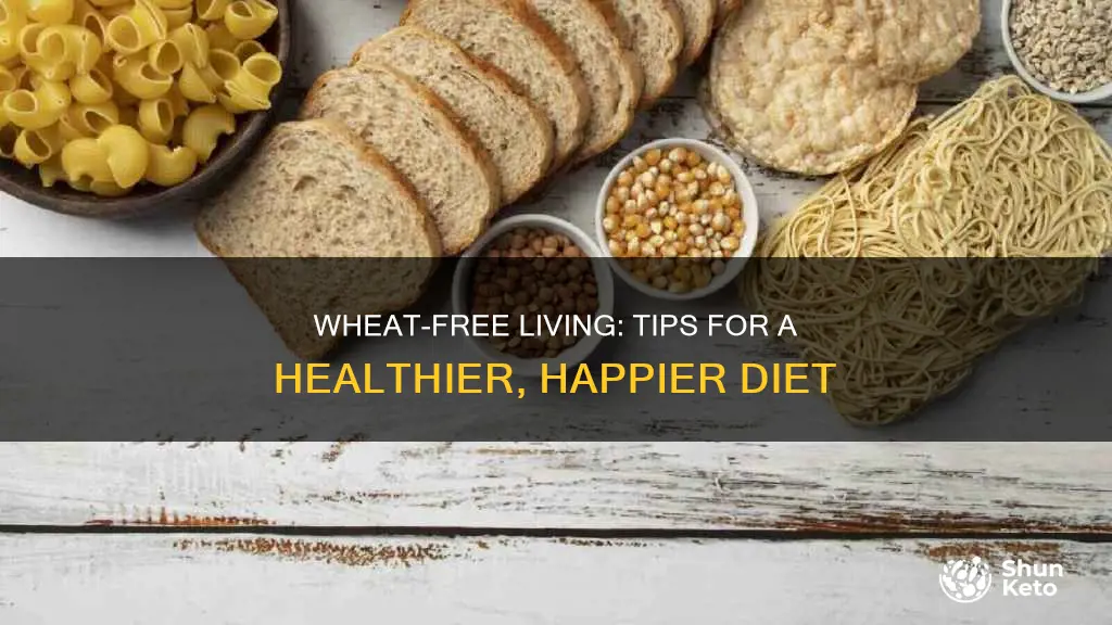 how to reduce wheat in diet