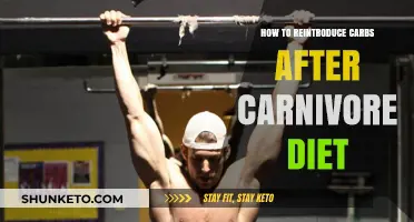 Smartly Reintroducing Carbs Post-Carnivore Diet