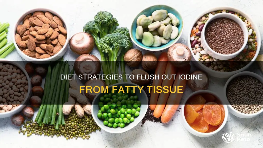 how to remove iodine from the fatty tissue using diet