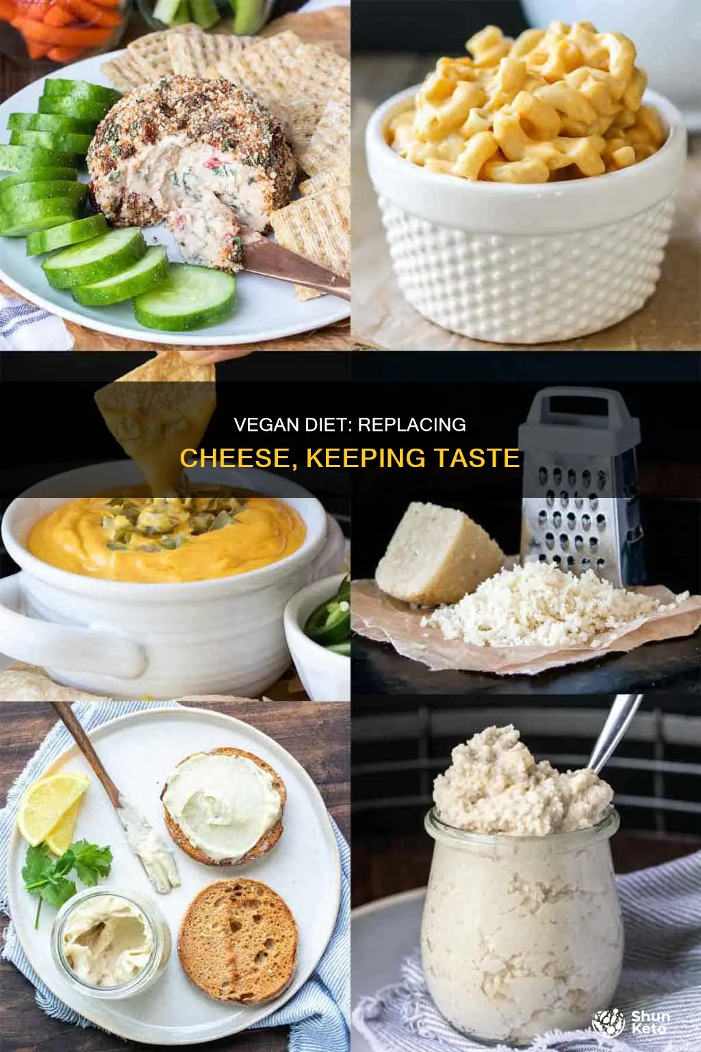 how to replace cheese in vegan diet