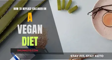 Vegan Collagen Substitutes: Replenishing Proteins for Plant-Based Diets