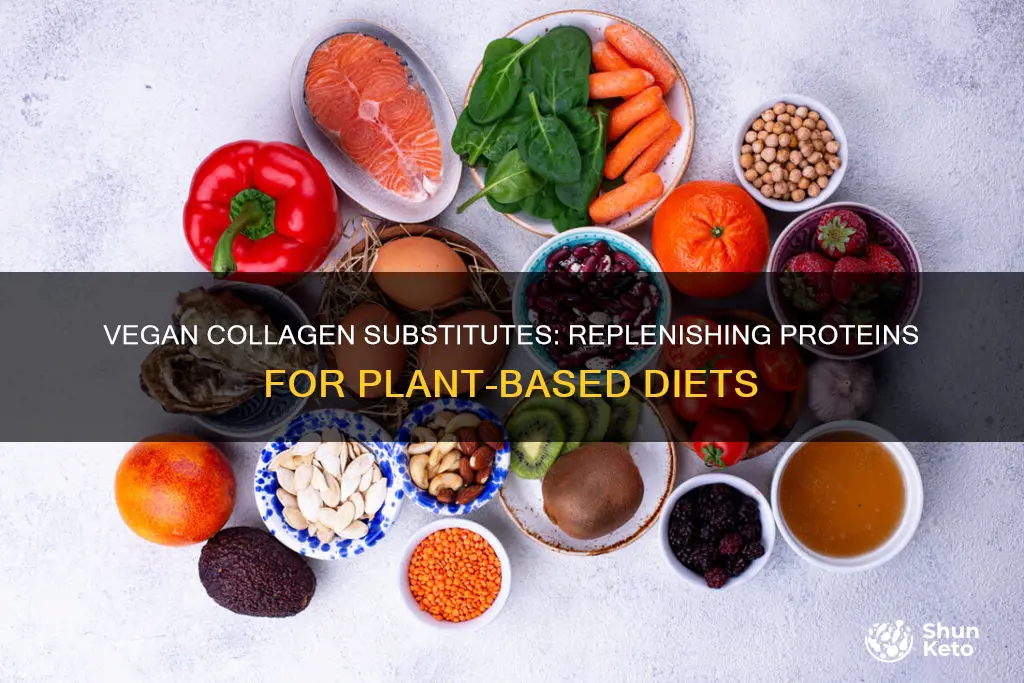 how to replace collagen on a vegan diet