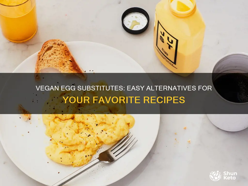 how to replace eggs in a vegan diet