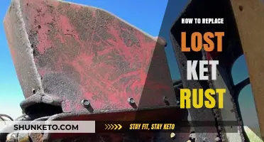 Reviving Your Keto Journey: A Guide to Replacing Lost Ketone Rust