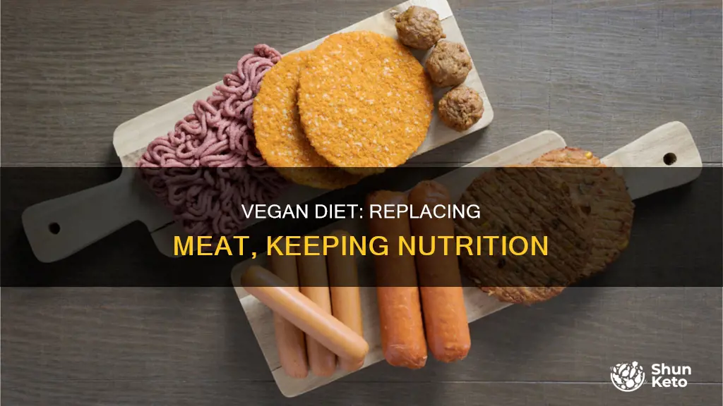 how to replace meat vegan diet