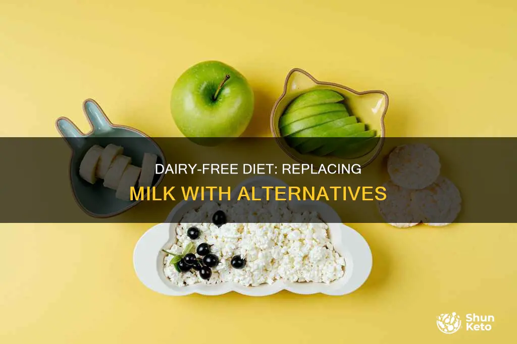 how to replace milk in diet dont like milk