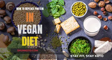 Vegan Diets: Replacing Protein, Healthy Options