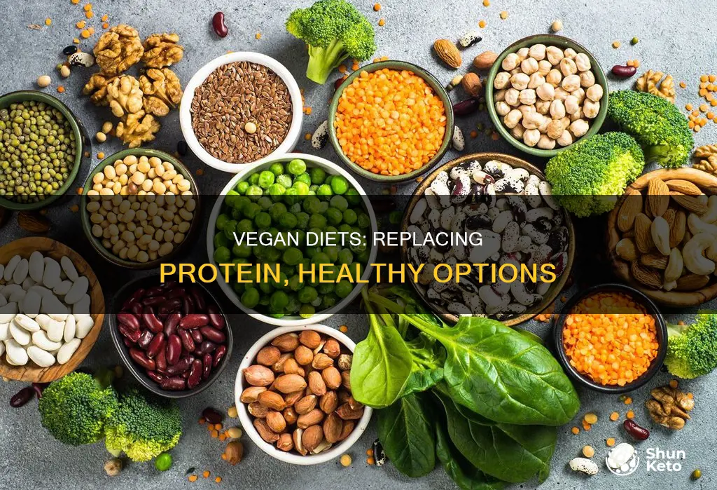 how to replace protein in vegan diet