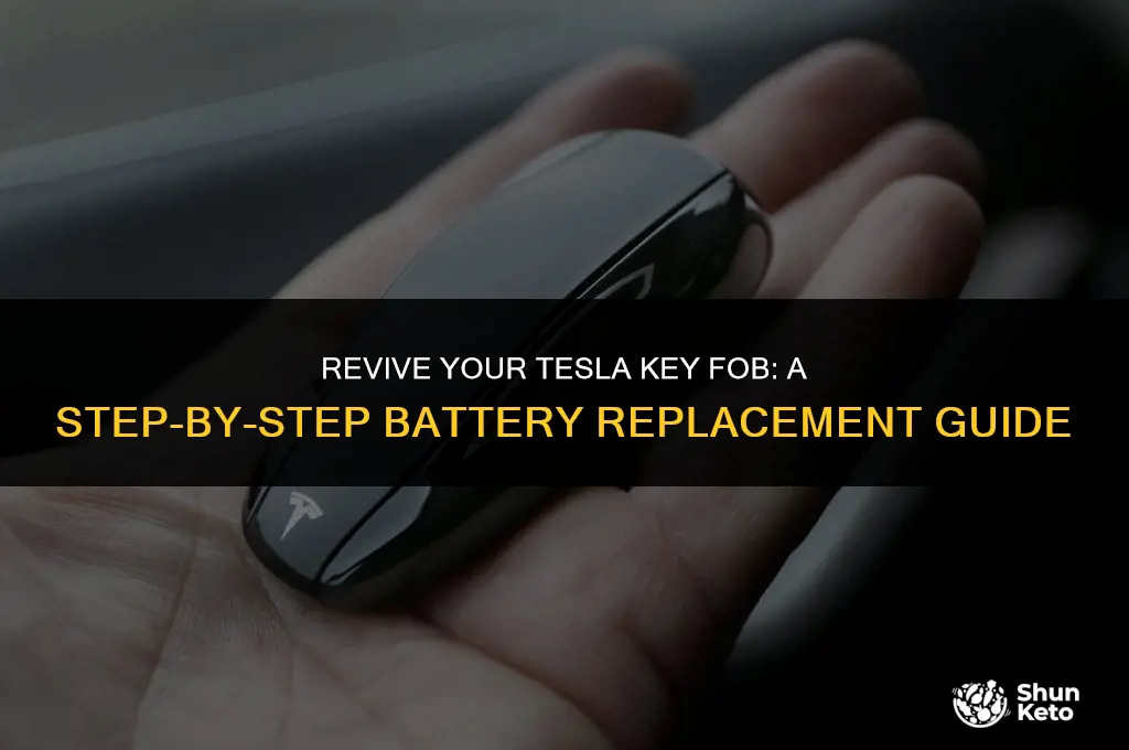 how to replace tesla battery ket fob