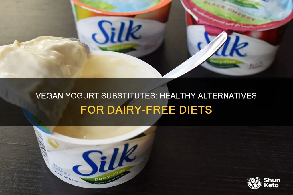 how to replace yogurt in a vegan diet