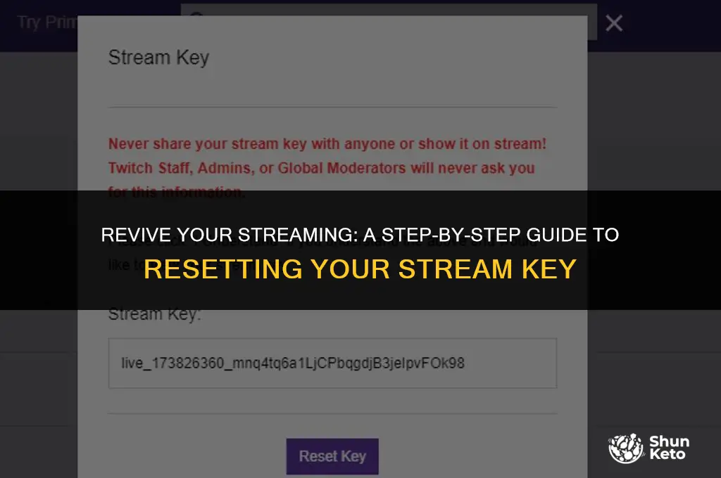 how to reset your stream ket