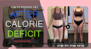 Reverse Dieting: Calorie Deficit Recovery Strategies