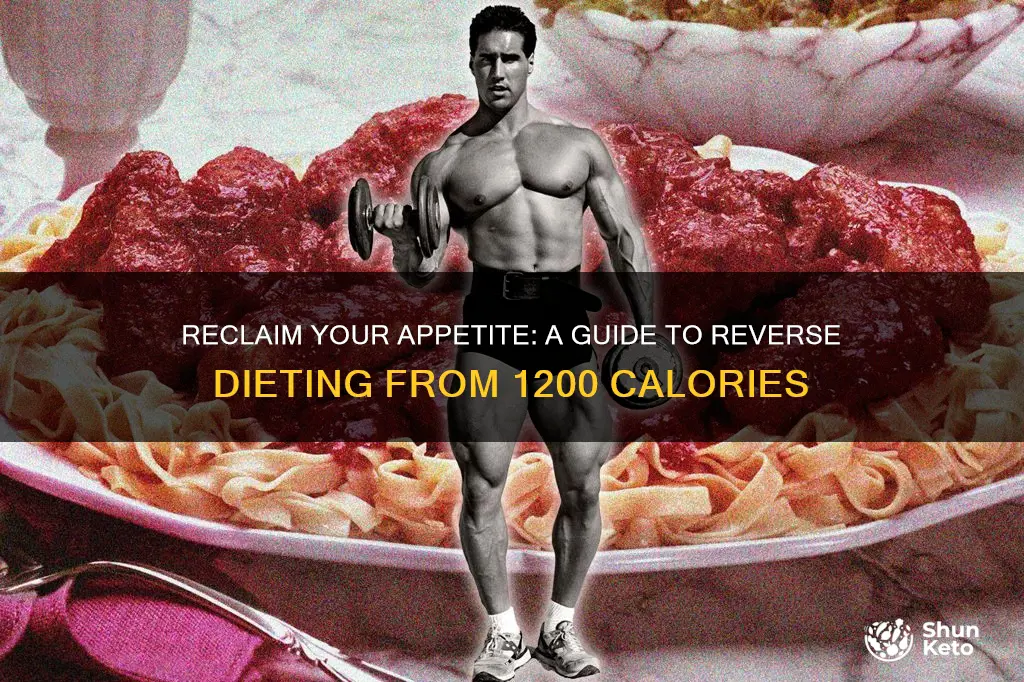 how to reverse diet from 1200 calories