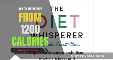 Reverse Dieting: Navigating Your Way Up from 1200 Calories