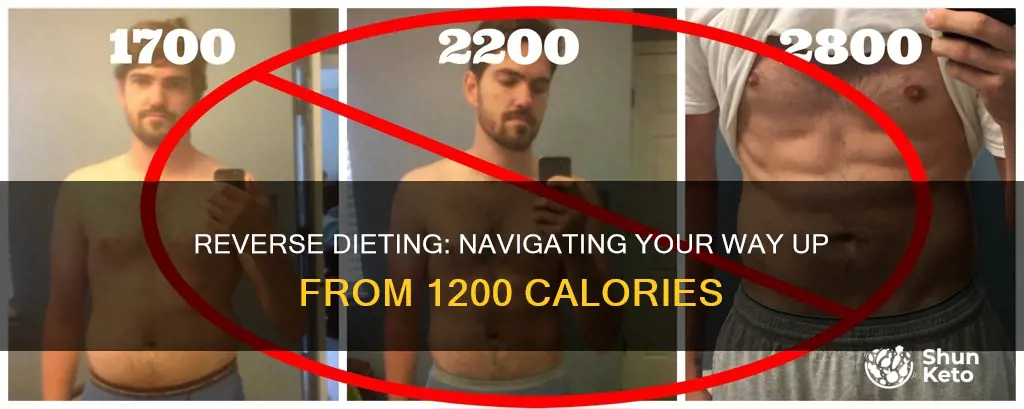how to reverse diet from 1200 calories