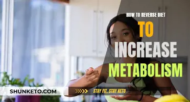 Boost Your Metabolism: Reverse Dieting for a Faster Burn