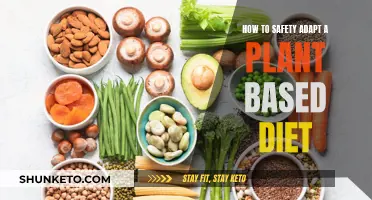 Adapting Plant-Based Diets: Safe and Healthy Choices