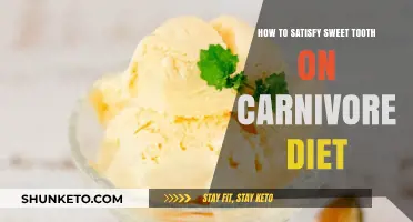 Sweet Tooth on Carnivore Diet: Best Desserts