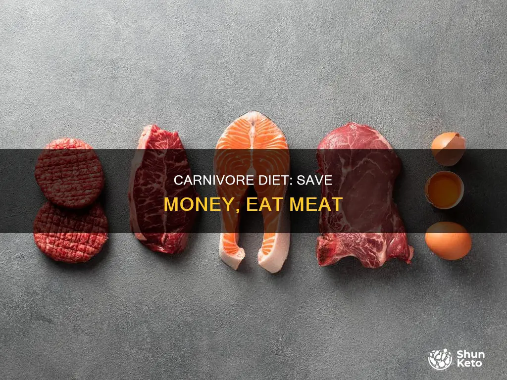 how to save money on carnivore diet