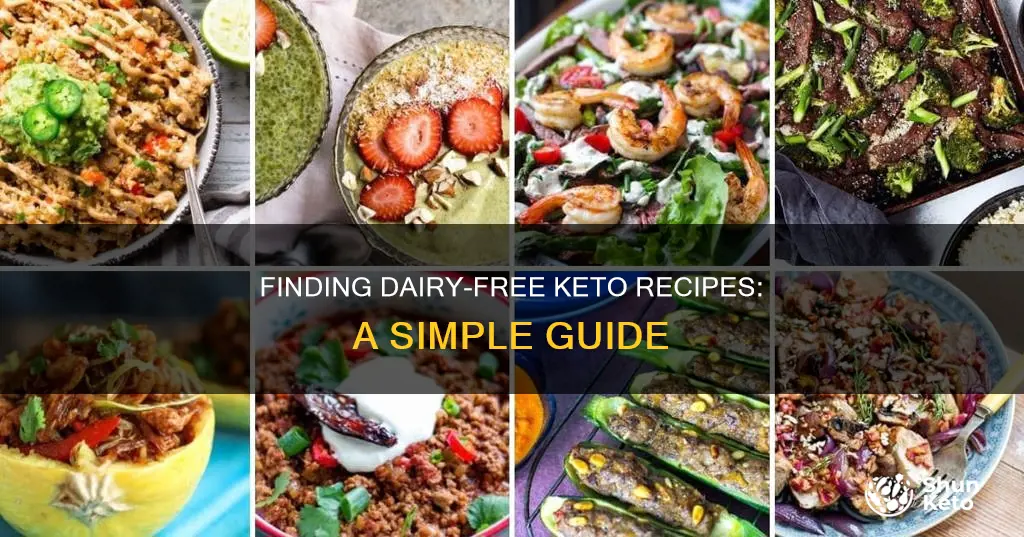 how to search for dairy free keto recipes