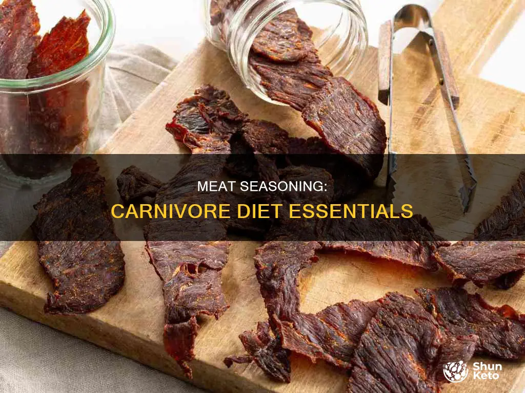 how to season meat on carnivore diet
